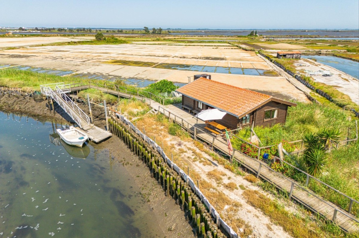 Island of the Pullers