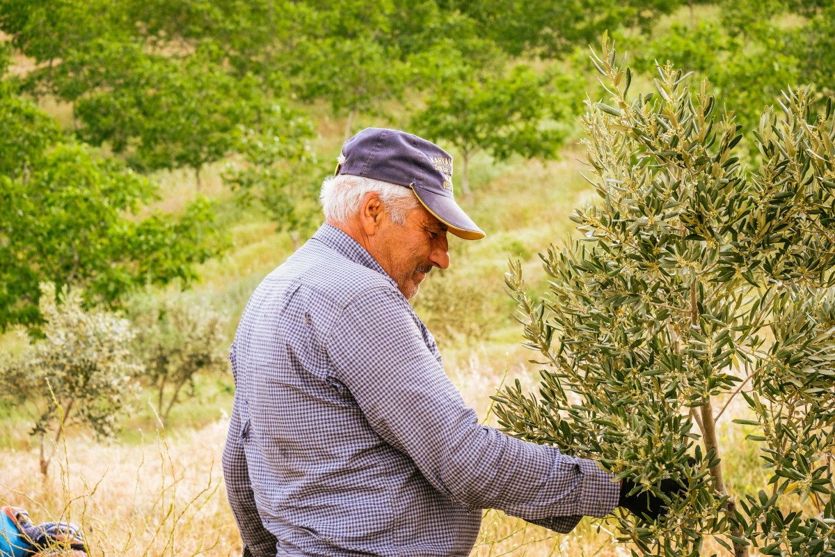 L'Alentejo, la région portugaise classée parmi les meilleures destinations gastronomiques du monde