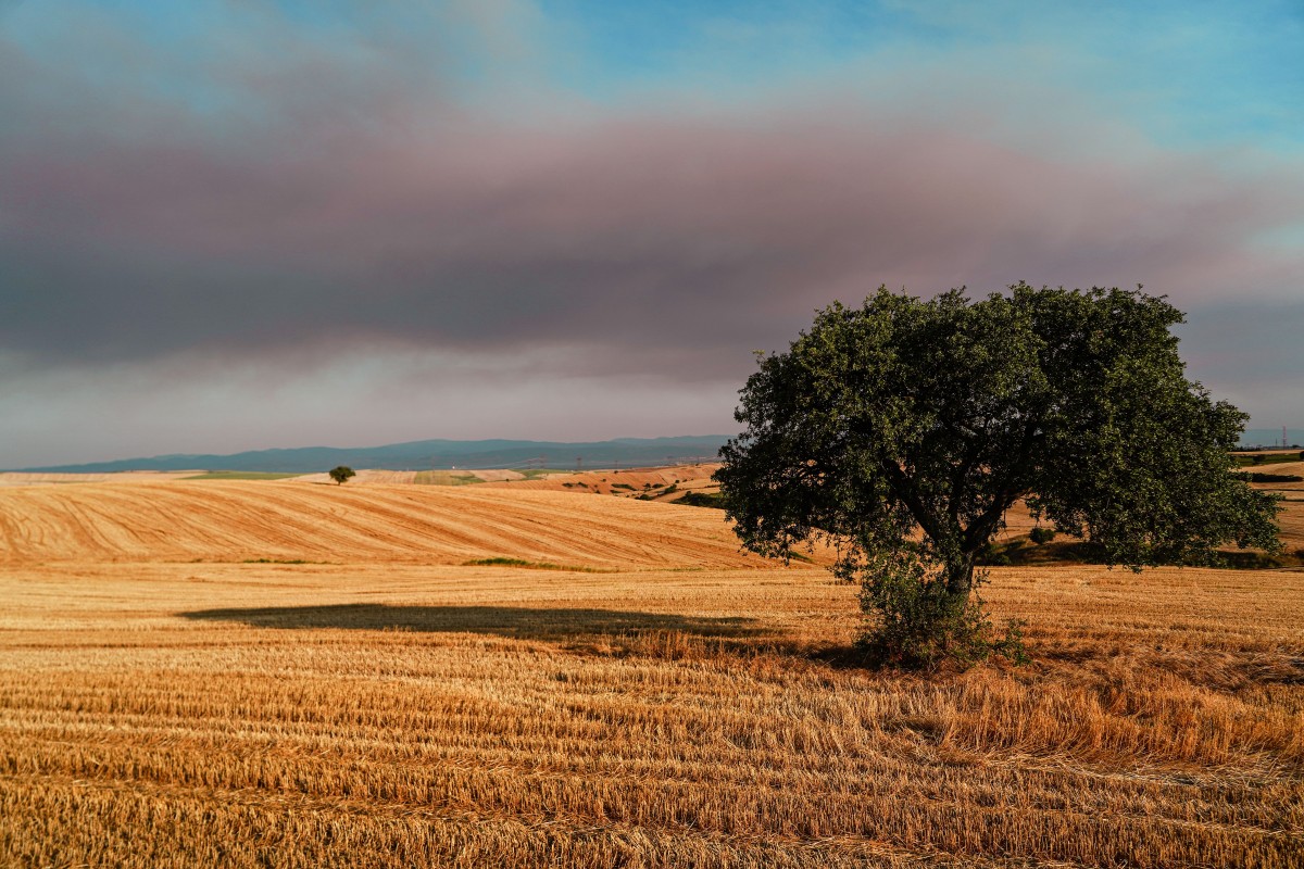 L'Alentejo, la région portugaise classée parmi les meilleures destinations gastronomiques du monde