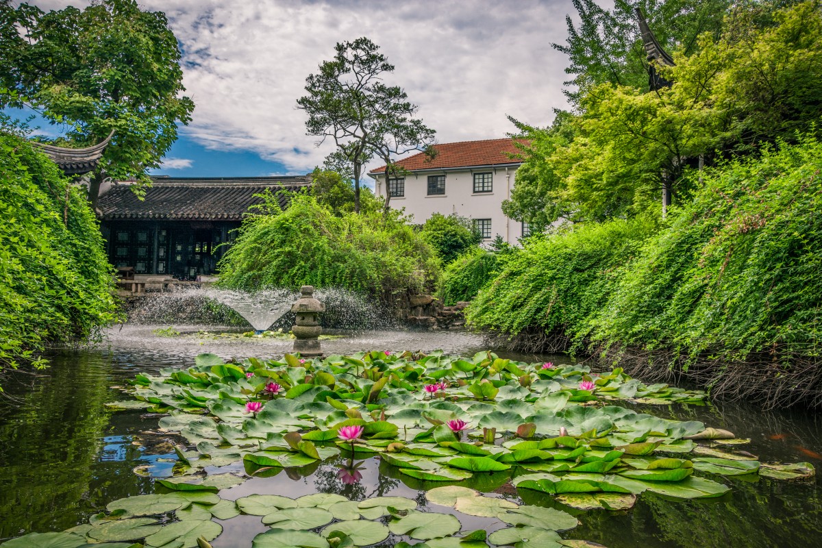 lago no jardim