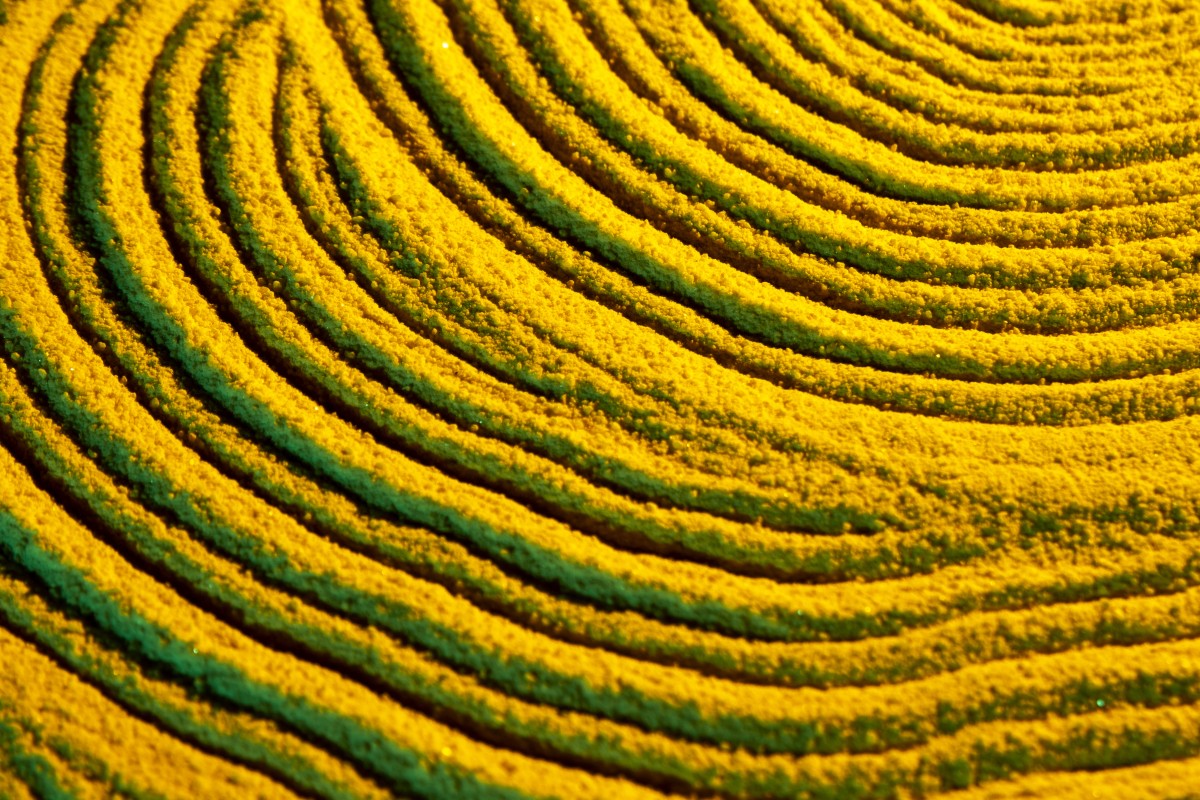 cores da natureza