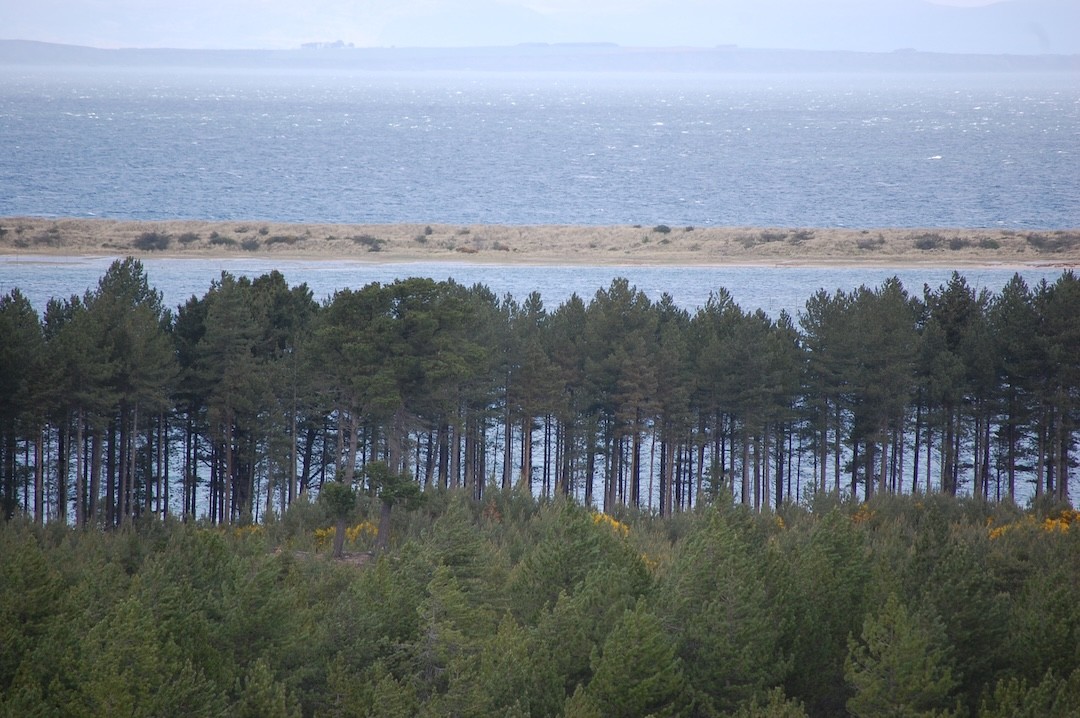 Culbin Forest na Escócia