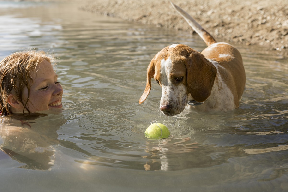 Dona a brincar com o seu cão na praia