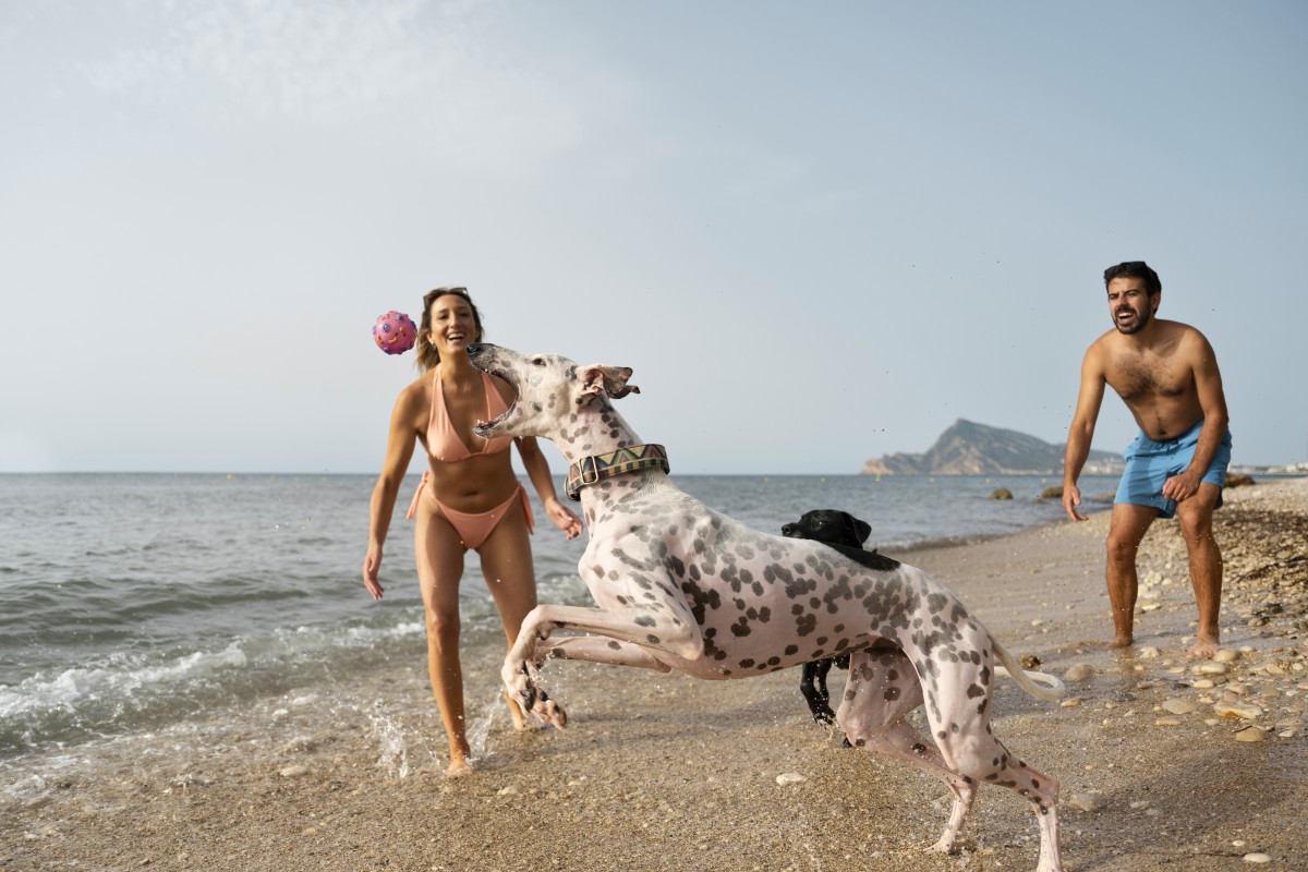 Praias pet-friendly