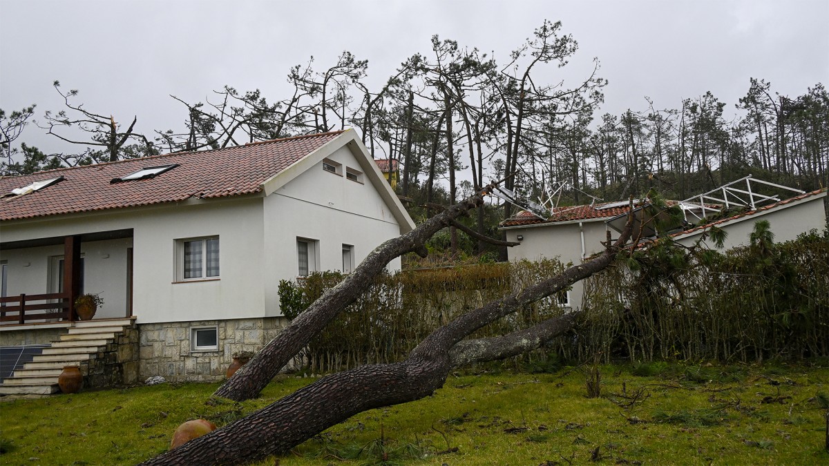 Seguros na habitação