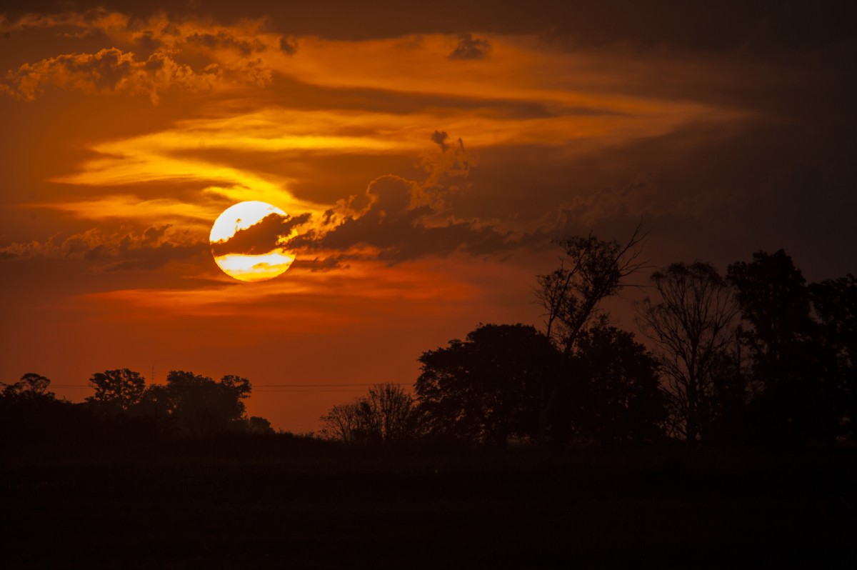Eclipse solar