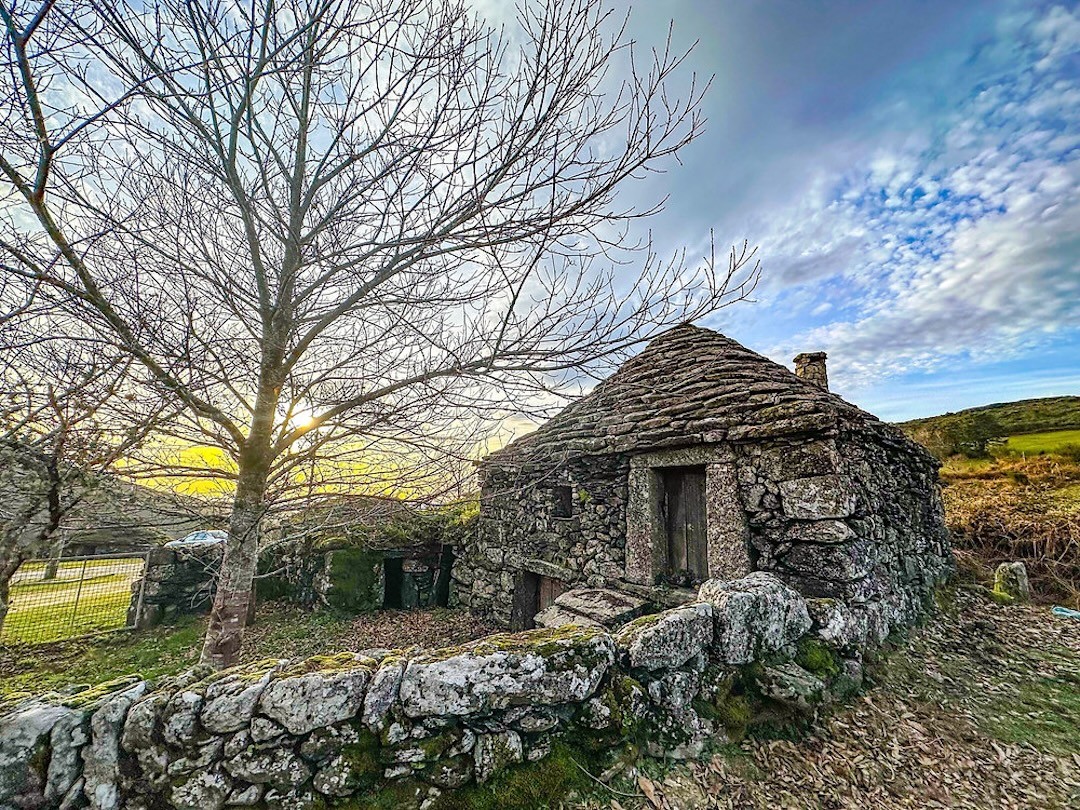 cardenhas no Val de Poldros