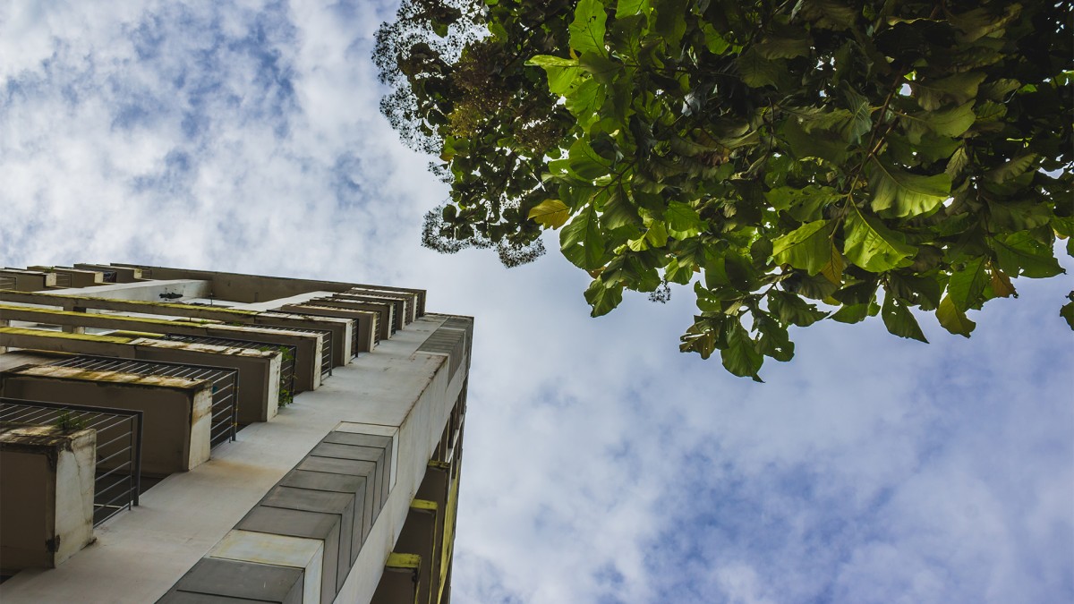 Descarbonização do setor imobiliário