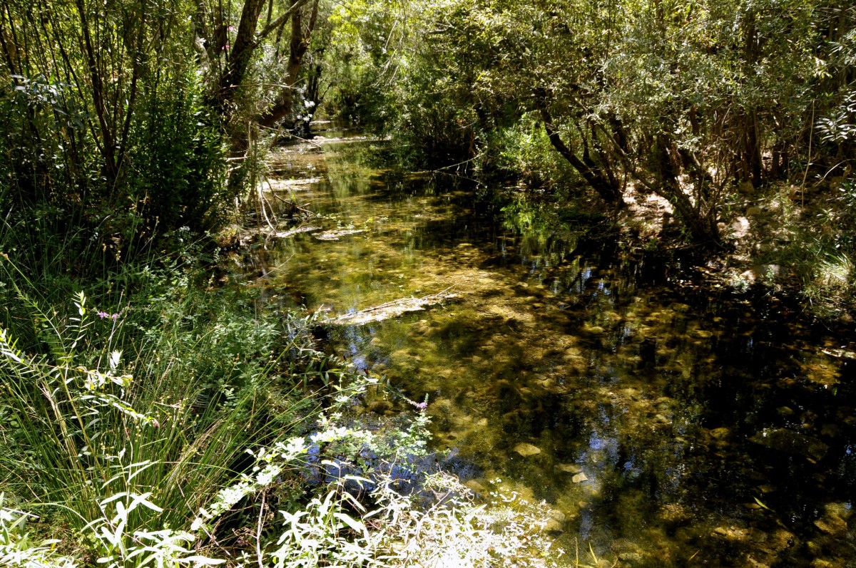 Fonte Benemola
