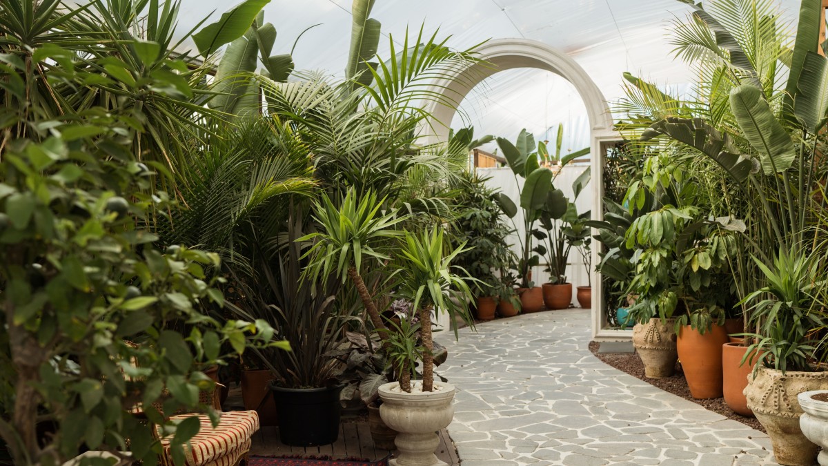 Jardim tropical