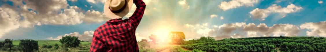 rural_freepik