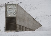 Banco Mundial Svalbard