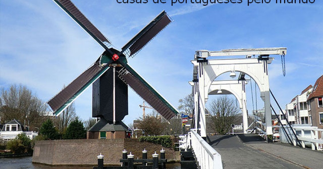 casas de portugueses pelo mundo: viver em leiden, holanda (fotos)