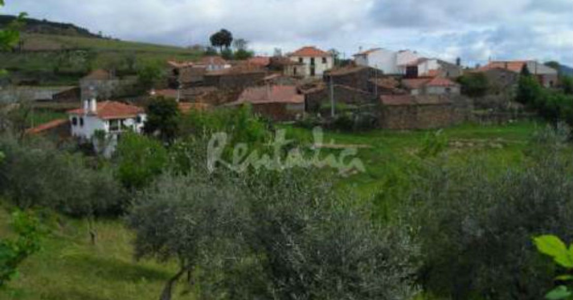 casas de fim-de-semana: descobrir o campo nas montanhas de bragança (fotos)