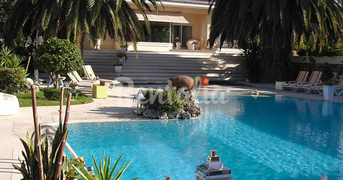 Casas de fim de semana: Quinta com pomar e piscina no Porto (fotos)