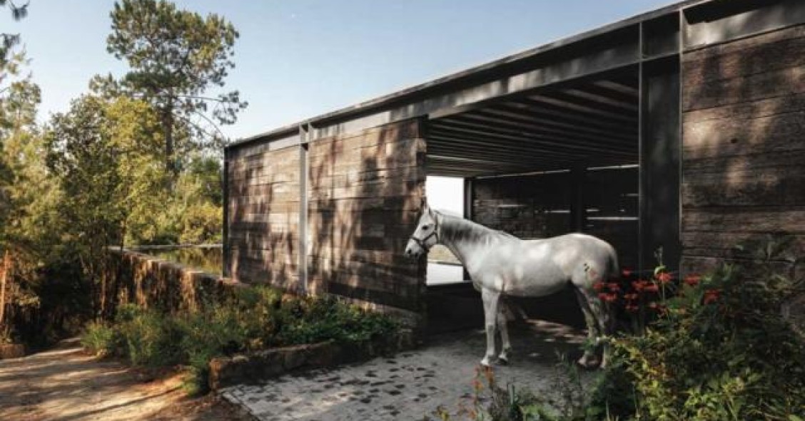 Casas de sonho: o rancho perfeito para um cowboy moderno (fotos)