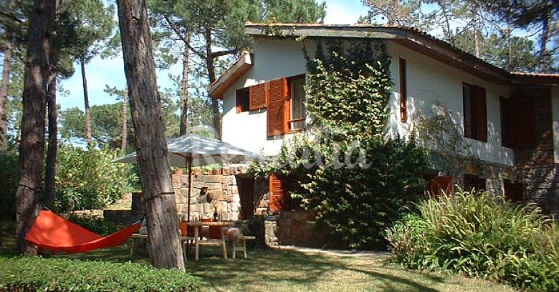 Casas de fim de semana: Desfrutar da paz do campo num pinhal em Sintra (fotos) 