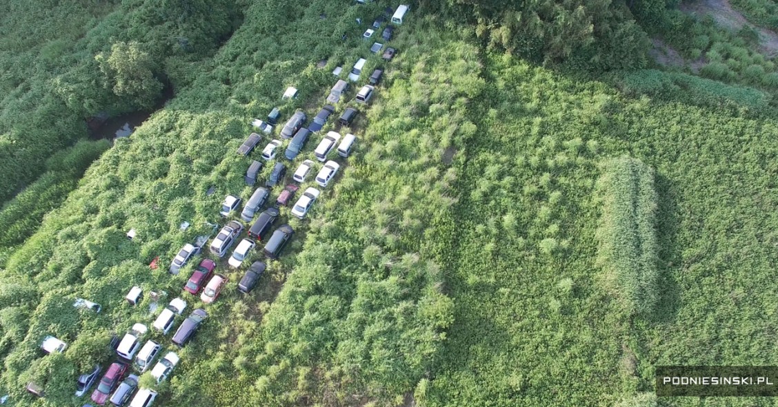 Fotos únicas de Fukushima mostram o avanço da natureza na região 