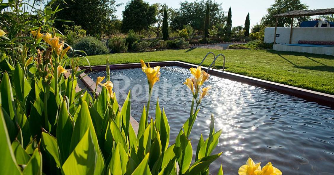 Casas de fim de semana: Descer até ao Algarve e desfrutar de campo e mar (fotos) 