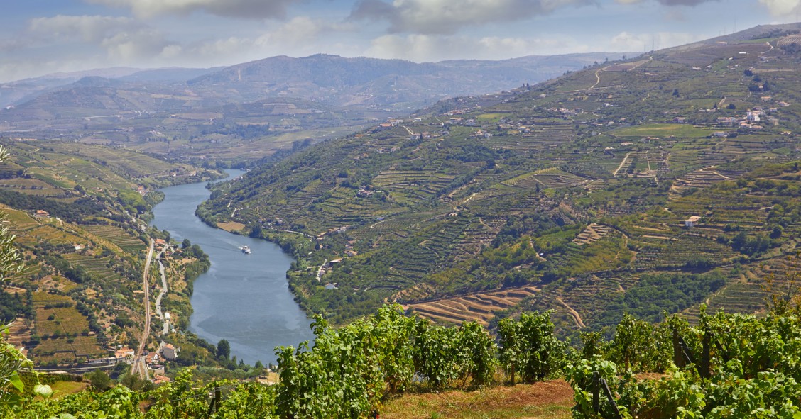 Quinta no Douro penhorada pelo tribunal rende dois milhões em leilão online 