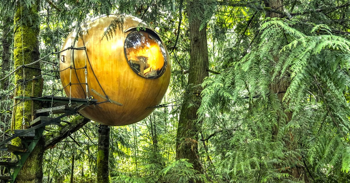 Free Spirit Spheres: dormir flutuando no bosque numa esfera pendurada numa árvore