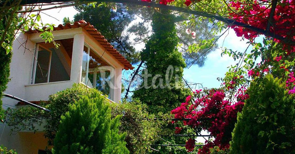 Casas de fim de semana: Um pequeno paraíso entre o mar e a Serra da Arrábida 