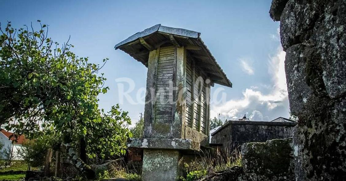 Casas de fim de semana: Escapadela na serra em pleno Parque Natural Vouga Caramulo 