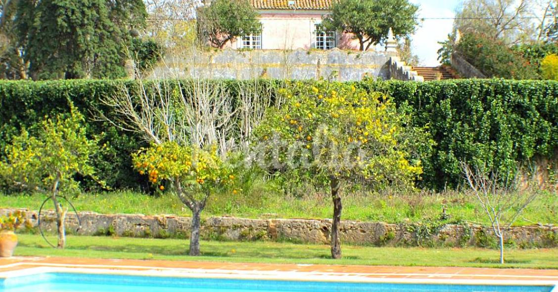 Casas de fim de semana: Natureza em estado puro e praia nos arredores de Sesimbra 