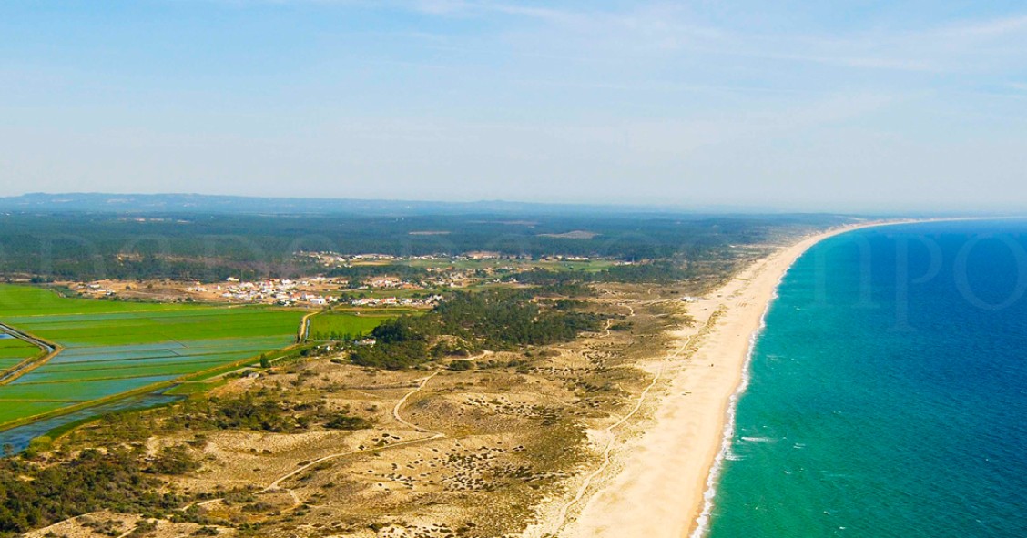 Comporta tem novos donos e são portugueses