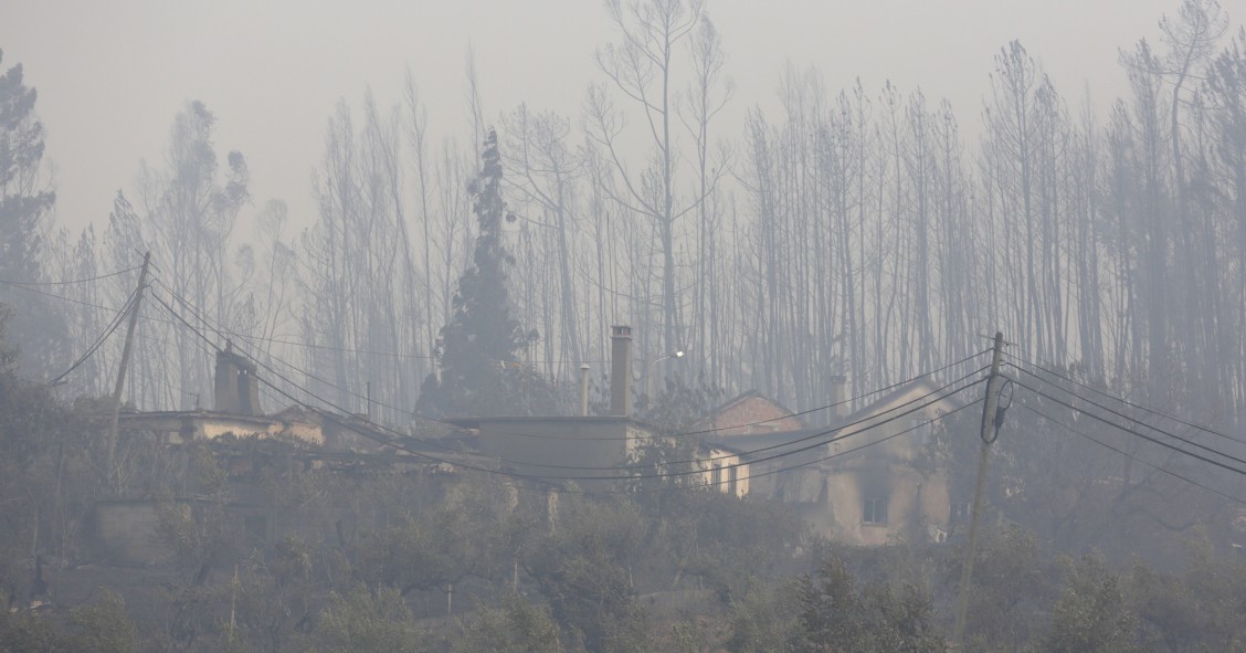 Construtores cobram o dobro para reconstruir casas devastadas pelo incêndio de Pedrogão