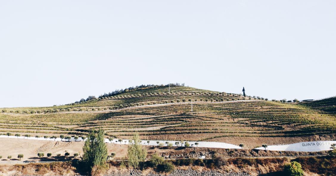 Mais de 86% dos terrenos rurais estão sem registo 