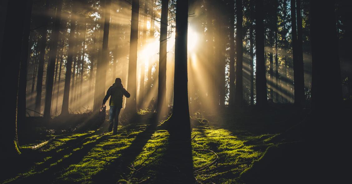 Governo quer transformar antigas casas florestais em alojamento para turistas
