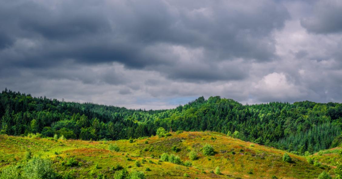 Cobranças das limpezas de terrenos passam para esfera do Fisco