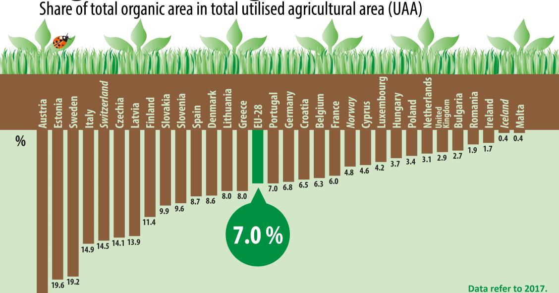 Agricultura biológica ganha adeptos em Portugal e na UE 