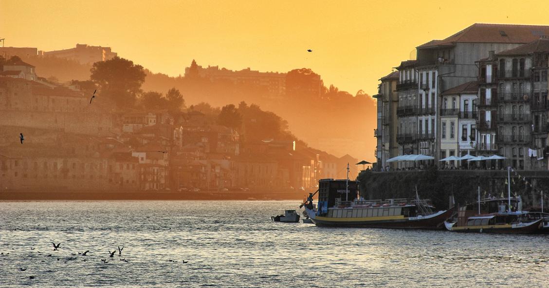 REIT a todo o vapor: investimentos em Portugal podem começar a 1 de fevereiro