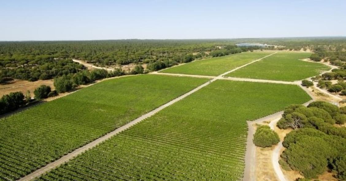 Escritura de venda da Herdade da Comporta assinada em abril 