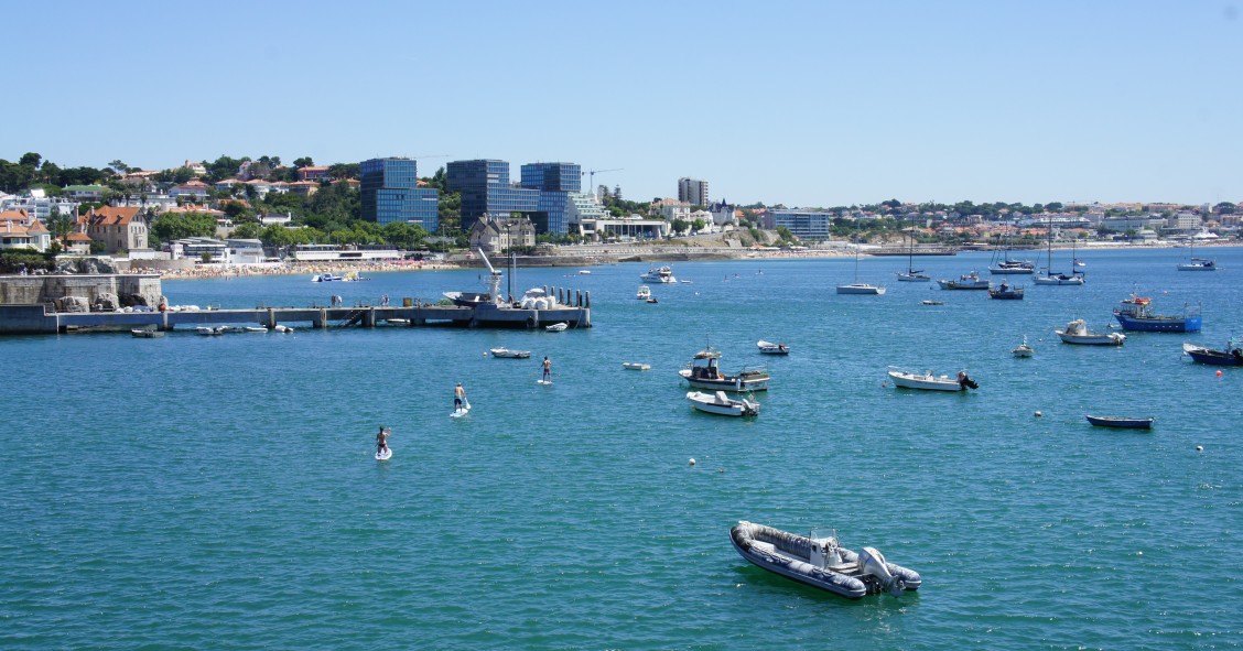 Carlton International aposta na mediação imobiliária de luxo em Portugal