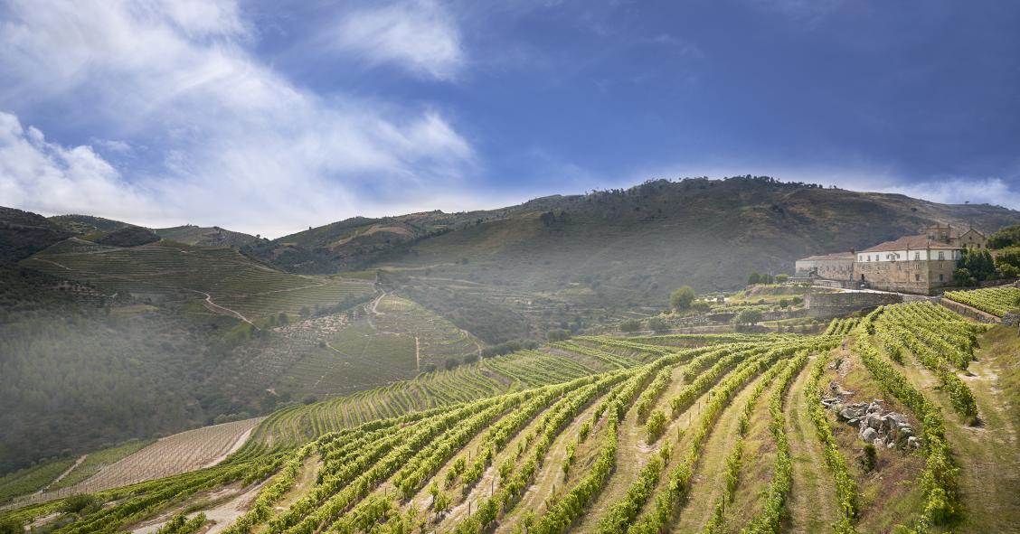 Uma das mais antigas quintas do Douro renasce com investimento alemão de 12 milhões