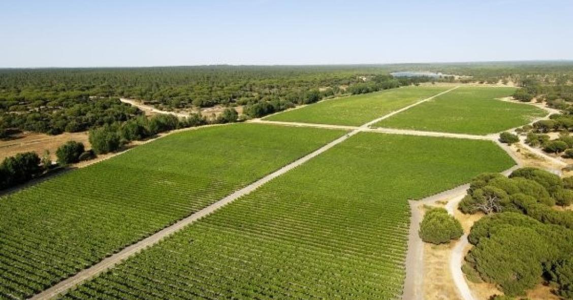 Escritura de compra da Herdade da Comporta adiada para 14 de novembro