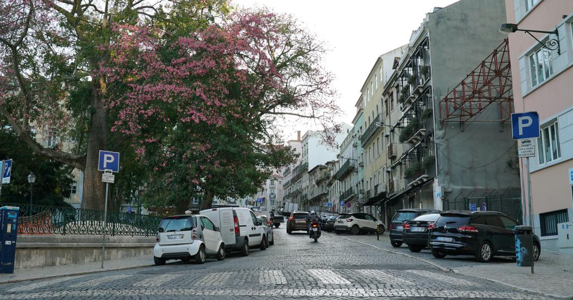 Prestação da casa desce em dezembro para a maioria dos portugueses	