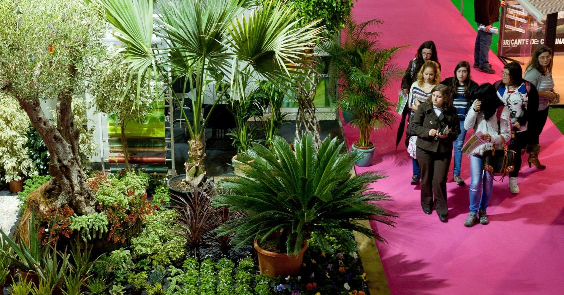 Maiores feiras de jardinagem e decoração de exteriores do Norte até sábado na Exponor