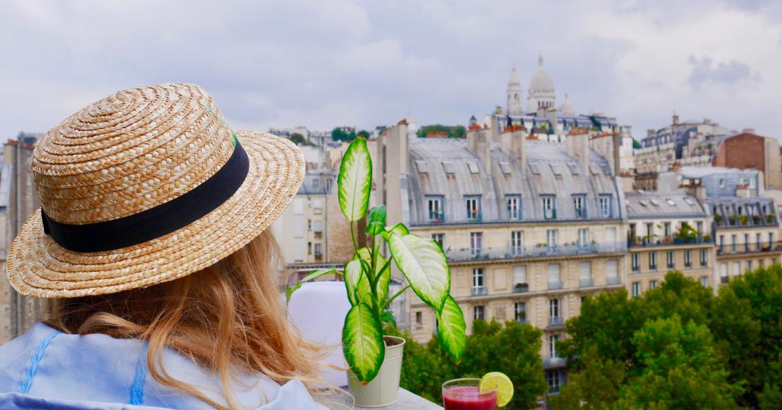 Plantas em casa: como cuidar destas damas de companhia