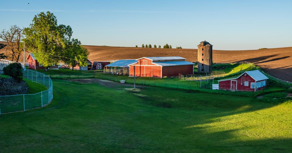 Imóveis e terrenos agrícolas despertam interesse de investidores