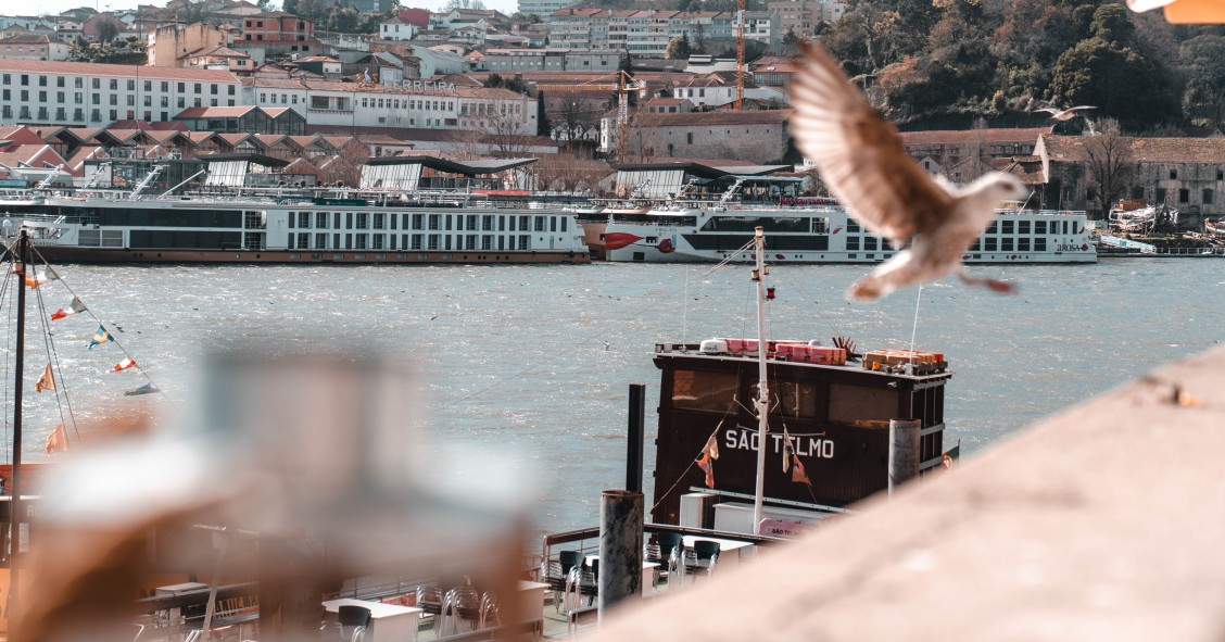 Porto levanta onda de ceticismo quanto à aplicação de fundos europeus anti-crise pandémica 