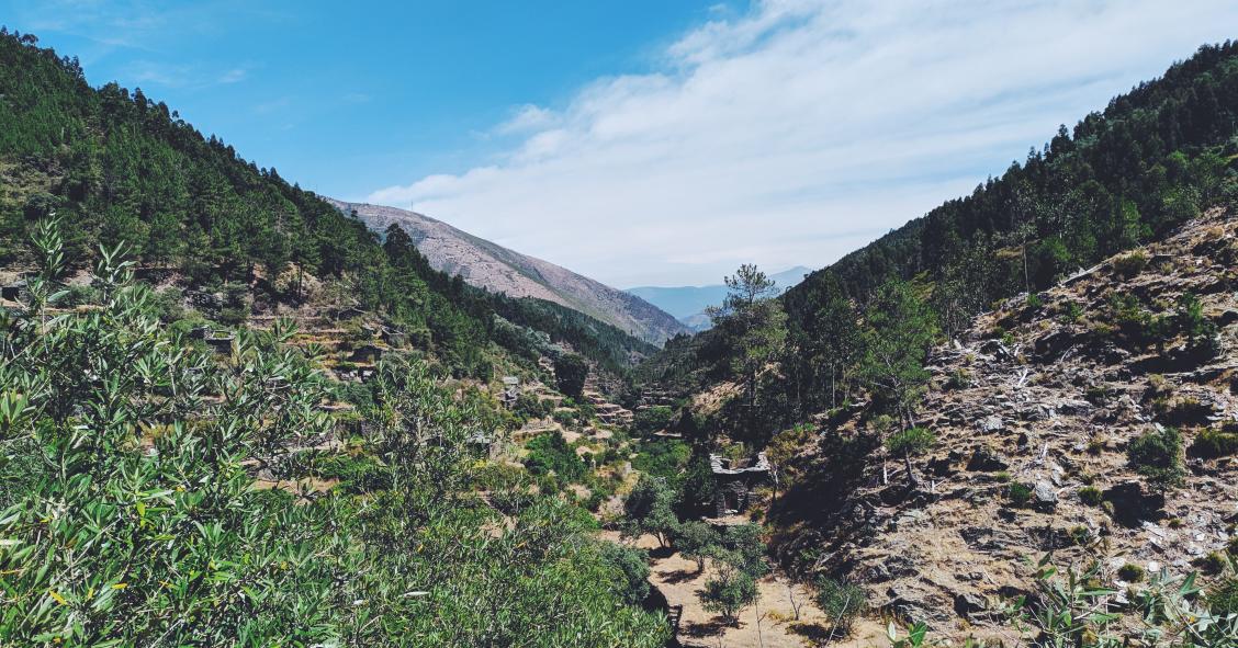 Revive Natureza: 12 imóveis do Estado adjudicados a privados para exploração turística