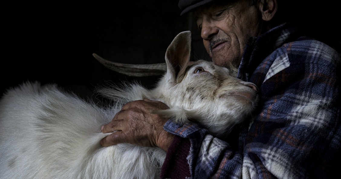 A ruralidade vista por dentro: fotógrafo português vence prémio Travel Photographer of the Year