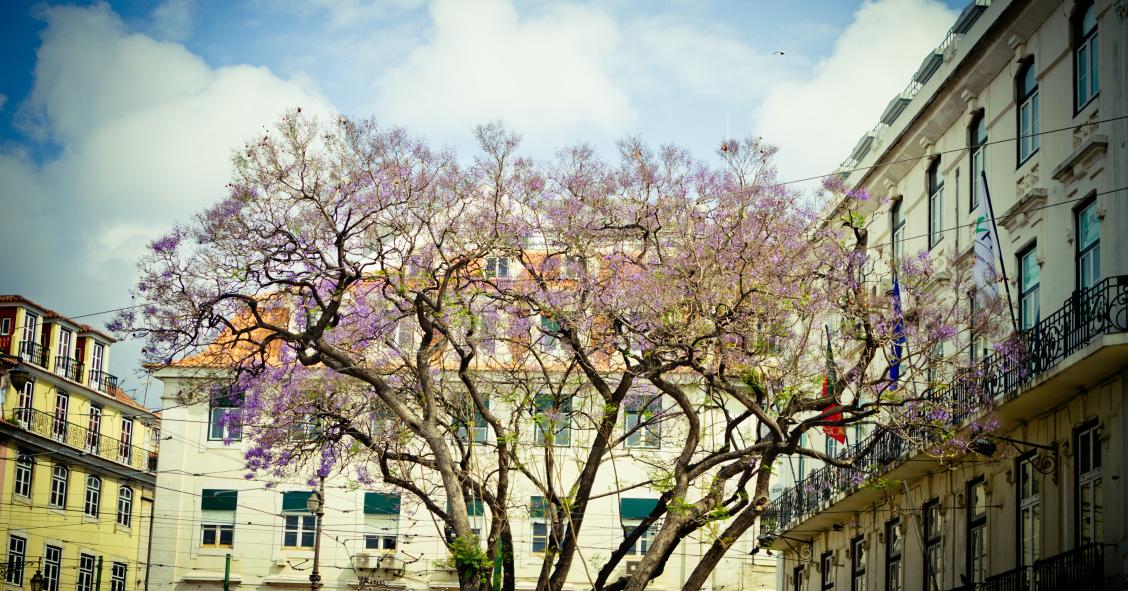 Fundo norte-americano H.I.G Capital compra três edifícios residenciais em Lisboa