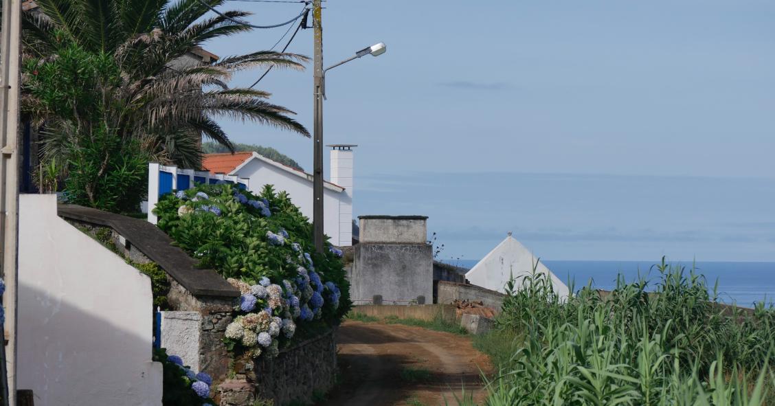 Rendas das casas sobem 1,6% em fevereiro em termos homólogos