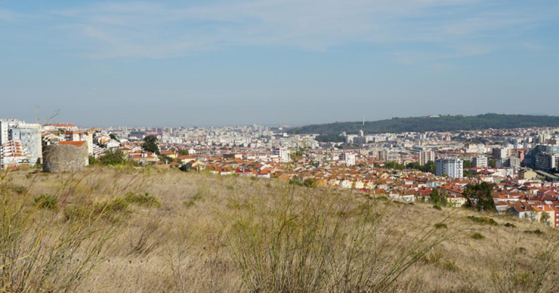 BCP coloca à venda 111 hectares junto a Lisboa com potencial de construção de casas para a classe média