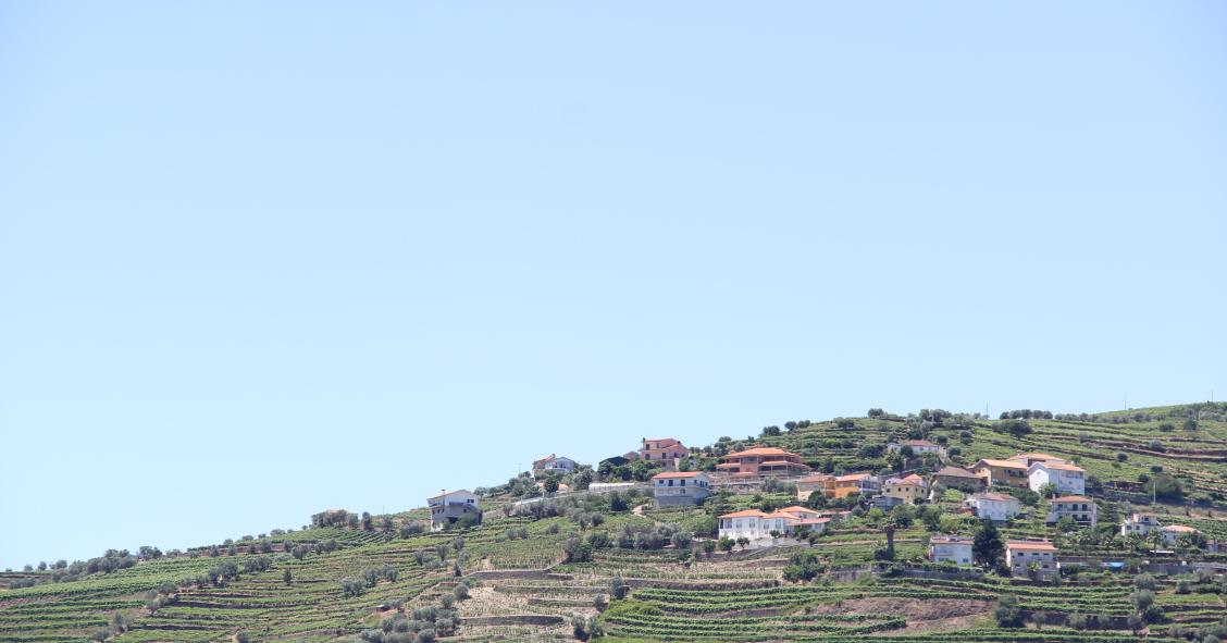 Terrenos urbanizáveis - afinal esta classificação ainda existe?